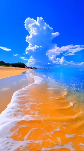 مساء الخير#🥰❤️❤️🇪🇬🇪🇬🇪🇬🇪🇬🌹🌹❤️❤️🥰🥰 