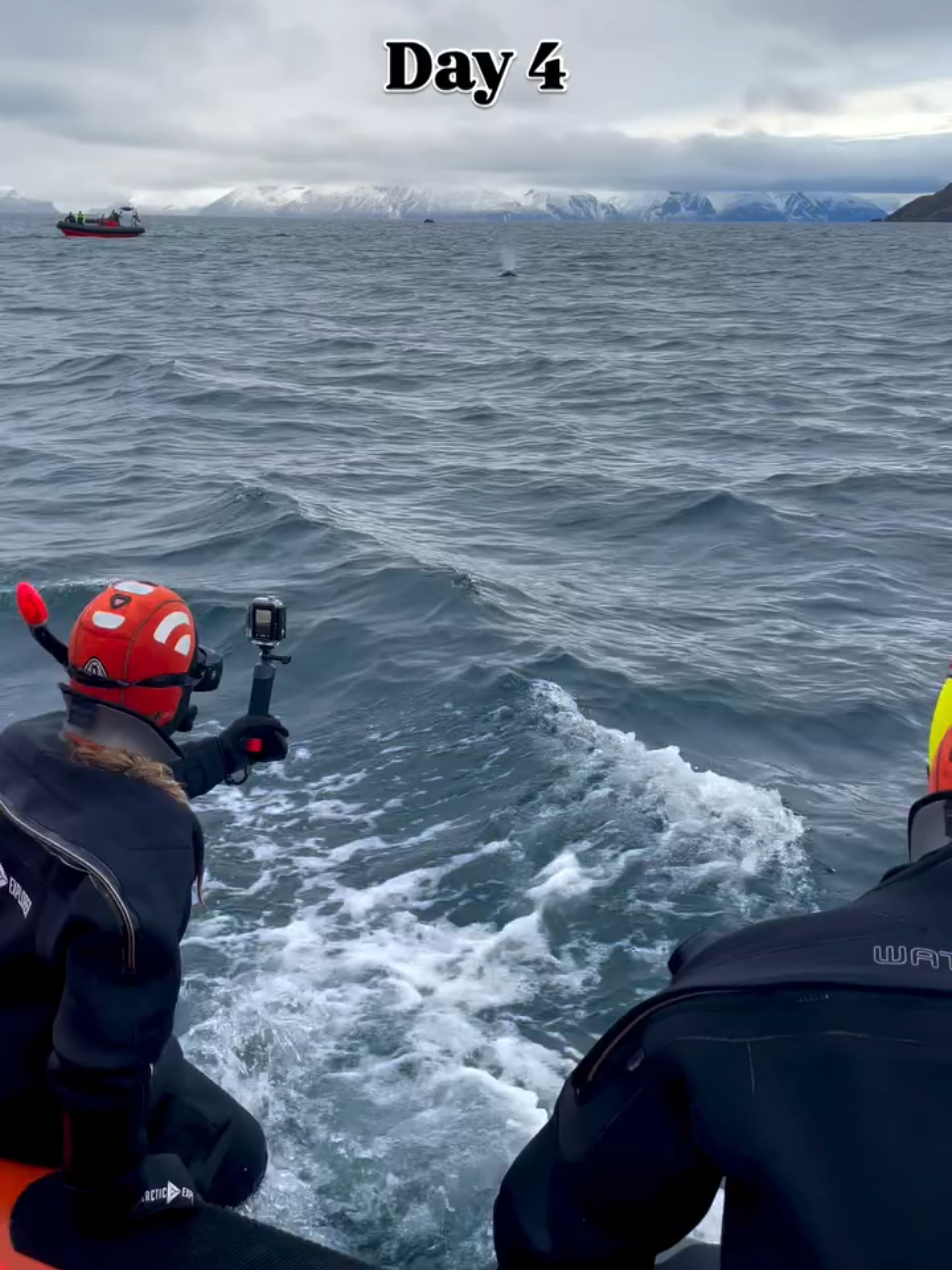 Day 4 very goood day😎🐋🇳🇴😍#whalewatching #humpbackwhales #bucketlist #nrk #norway #norway🇳🇴 #norwaytravel #orcawhale #orcas