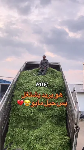 #بورصه #ياني_شاهير #اعادة_النشر🔃 #fypシ #yenisehir 