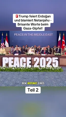 🚨Trump feiert Erdoğan und blamiert Netanjahu - Brisante Worte beim Gaza-Gipfel! #trending #fyp #viral 