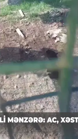 #şamaxı #samaxi #bakutv #shamaxi #ComfortSegredos 