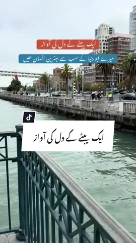 #baap #beta #abbu #fyp #fy 