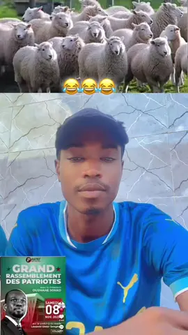 #tik #humor #greenscreen 