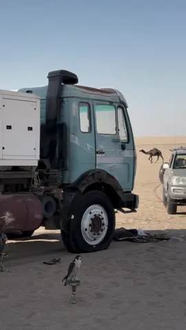 علئ خير اشوفك كان حنآ من الحيين  ‏مصير اليالي ، تجمُع الحي مع حييه . #Ř #الخرج 