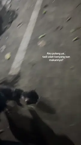 Tadi udah aku kasih makan, kukira dia bakal pergi… eh malah ngikut sampai aku jalan ke motor.. Pas Aku bilang, “daaaaa, aku mau pulang dulu…” dia langsung diem berenti lari, liatin terus. Kayak ngerti kalau abis ini, aku belum tentu bisa ketemu dia lagi🥺  #fyp #kucingviral #kucingjalanan #sadstory #cat 