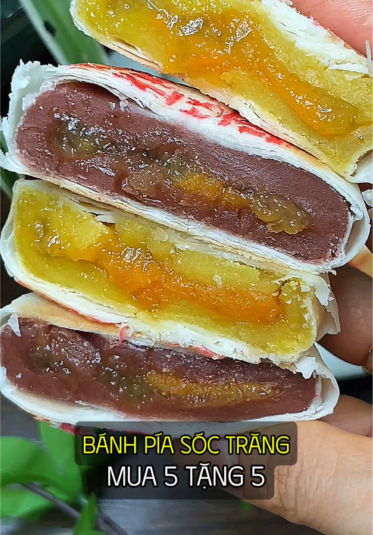 Bánh Pía Sóc Trăng loại lớn nè,mà ưu đãi quá hời #leminhhoa #banhpia #banhpiasoctrang #anvat #anvatngon  @Lê Minh Hoà  @Lê Minh Hoà  @Lê Minh Hoà 