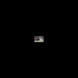 #mbappe #realmadrid #judebellingham #viral #fyp 