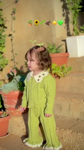 ماشاءالله 🪴💚