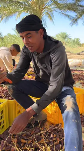 مزود يرجع على كلام يسري 