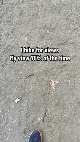 Have to watch where I’m stepping 🤣 #hike #walk #views #nature #fyp