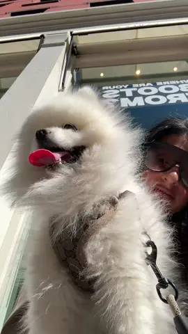 Beautiful day in sohooo