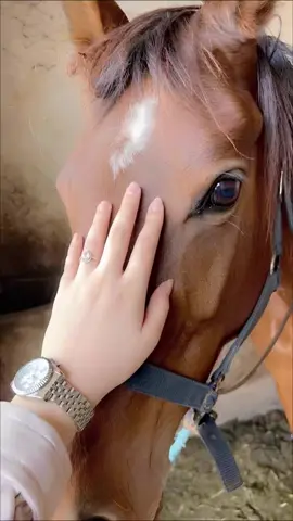 #CapCut #تصميمي❤️ #عتابا #لايك_متابعه_اكسبلور 