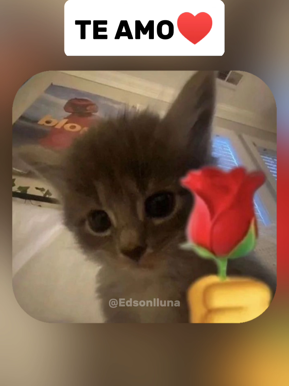 Duvido mandar pra Gatinha KKK #humor #Love #namorada #conversas 