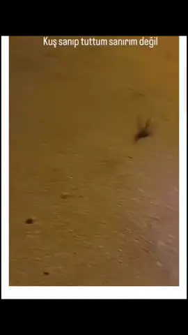 #hahaha😂😂😂😂😂😂😂 #