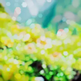 #গুরুত্বপূর্ণ_আলোচনা @abu toha mohammad adnan @mizanur Rahman azhari 🫶🤍 @Mizanur Rahman Azhari Fan @অচেনা শহর @Frame Hut @Bristy-বুড়ি🦋 