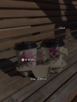 🥹🙌🏻.#fypシ゚varil #sindhigirl #sadaf_abbasii @TikTok 