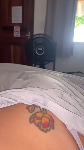 Descobrindo a Praia de Aventureiro, um dos paraísos mais preservados de Ilha Grande 🌴💙 Mar transparente, areia clarinha e o famoso coqueiro torto que é praticamente a foto oficial do lugar 🤳🌴 A vibe aqui é de desconexão total… mas com conforto se você quiser ✨ 📍 Como chegar: Aventureiro é área de preservação, então você precisa de autorização ✅ Ela é emitida pela TurisAngra (no Centro de Angra). Depois, é só pegar o barco 🚤 ⛺ Onde ficar: Tem campings pé na areia pra quem curte vibe raiz 🌙 Mas também tem suítes para alugar, simples, aconchegantes e com internet via satélite — perfeito pra quem precisa trabalhar ou postar aquela foto 😌💻 💡 Dicas essenciais: 	•	Leve dinheiro (nem todo lugar aceita Pix) 	•	Leve água extra 	•	Respeite o coqueiro torto — foto sim, subir não 🌴🚫 	•	E, claro: não deixe lixo 💚 É o tipo de lugar que não é só bonito… ele muda nosso ritmo por dentro 🌊✨ #aventuriero #ilhagrande #angradosreis #paraiso #viagensbrasil 