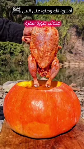 عجائب صورة البقرة             .     #اذكرو_الله_وصلوا_على_النبي_صلى_الله_عليه_وسلم  #قصص_الانبياء_قرآن_كريم_تلاوت_كلام_من_القلب_قصص_كلام_من_ذهب_صدقة_جارية #كلمات_مؤثرة_عن_الحياة #اكسبلورexplore #