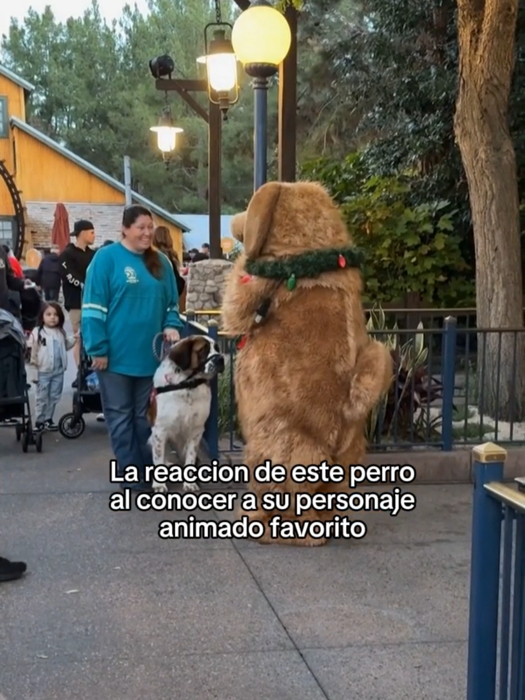 Como no amar a los animales #wholesome #animals #animales #mascotas #fyp 