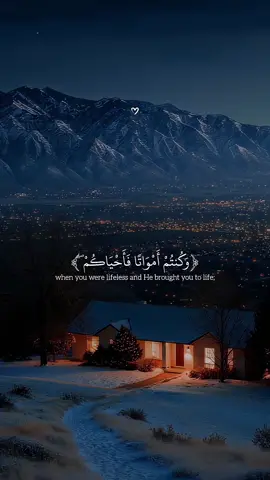 البقرة. تلاوة خاشعة للقارئ احمد شعبان #قران_كريم_ارح_سمعك_وقلبك♡ #اعجاب #ومتابعة 