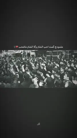 على أمل إلقاء 💔..! . . . . . . . . . . . . . . . . #مجتبى_الكعبي #سيد_فاقد_الموسوي #الشام #ستوريات_حسينيه #موكب_الاحزان 