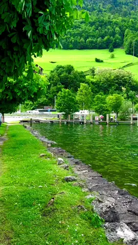 #انا_انزلنا_اليك_الكتاب_بالحق #عبدالله_غيلان_تلاوات_خاشعه_الطبيعه_الخلابه #اجمل_مناظر_طبيعية_خلابه_ساحره_في_العالم_سويسرا_النرويج_ايسلند #راحه_نفسيه🖤🎧 #المناظر_الطبيعيه_الخلابه 