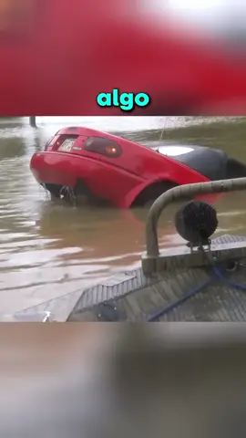 #datoraro  #rexo #wow #rexoarmy #curiosidades 