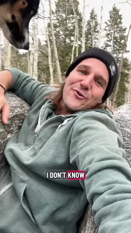 Crack a smile. 😃 #nature #joy #silly 