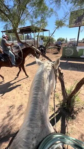 Uncle robby at the jackpot 😂#teamropingbrasil #TeamRoping #RopeLikeAPro #worldseriesofteamroping #RodeoLife 