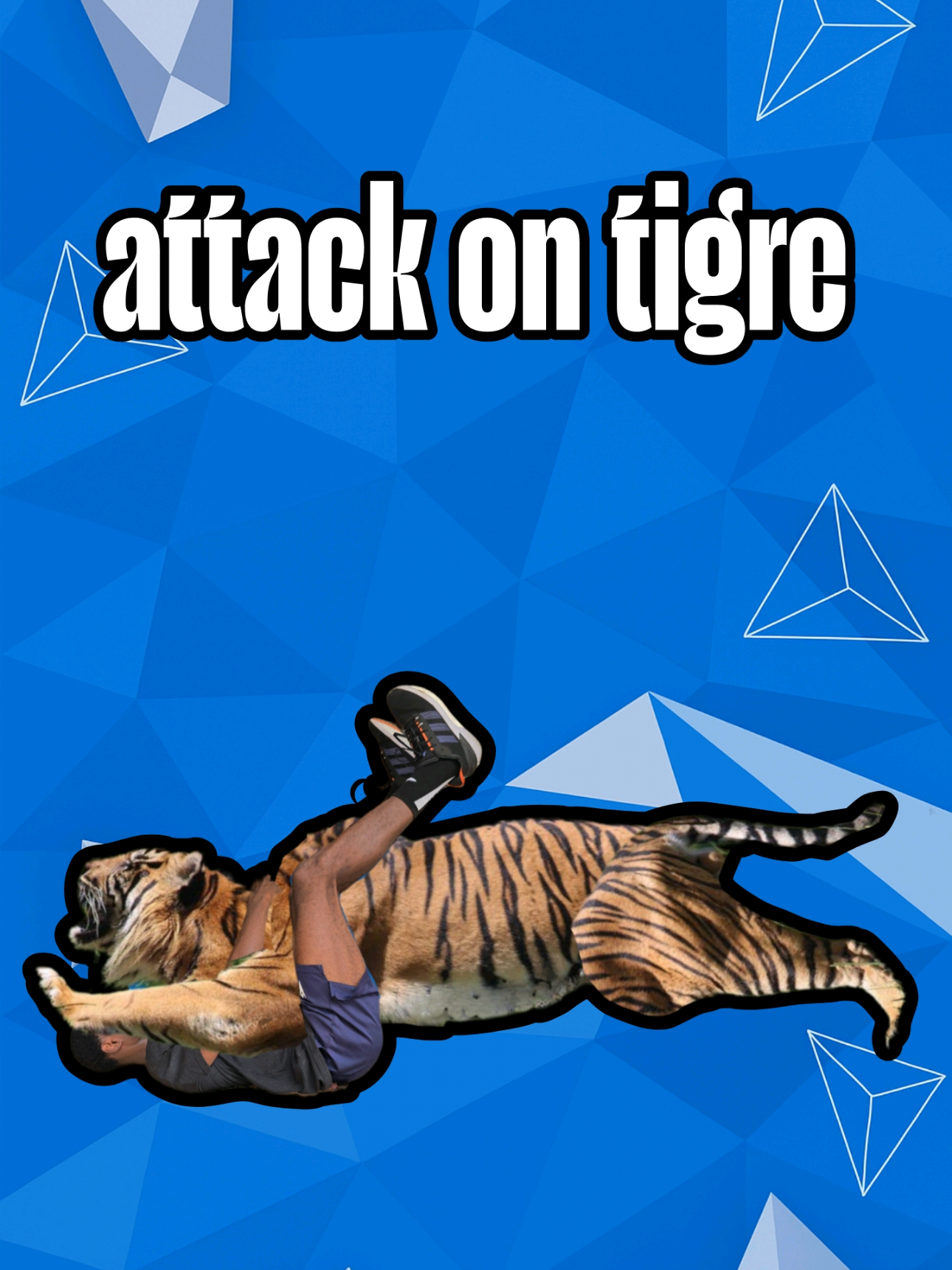un tigre dans mon jardin  #tigre #tiger 