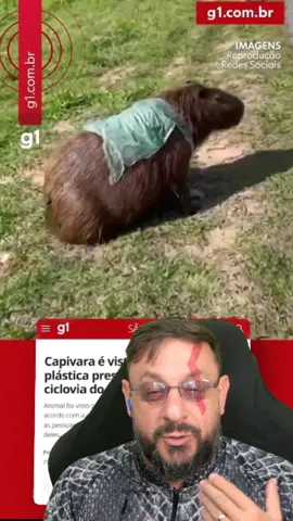 Capivara com sacola plástica no pescoço: lixo plástico e poluição #biologohenrique #biologo