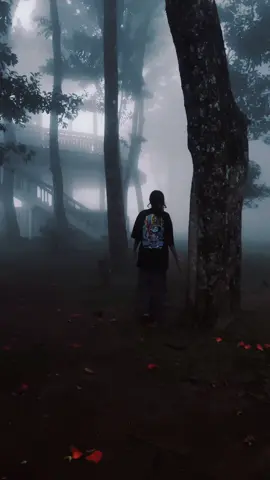 අම්බුලුවාව! 🌫 @DILU Beats @Dilo 💛 #onemillionaudition #ishiniwijesinghe #trending #fyp 