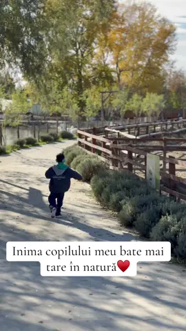 În natură, inima copilului meu bate mai tare. Acolo se liniștește, se bucură, respiră altfel. Devine un alt copil mai liber, mai prezent.Noi petrecem mult timp afară,voi?  #autism #autismlife #autismawareness #autismmom #nonverbal 