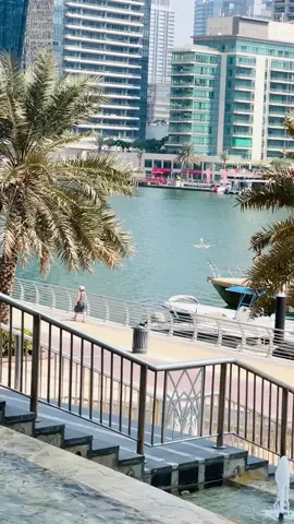 🌸💯🫀🥹 #dxb🇦🇪 #foryoupage #viral  #LIVEIncentiveProgram #PaidPartnership 