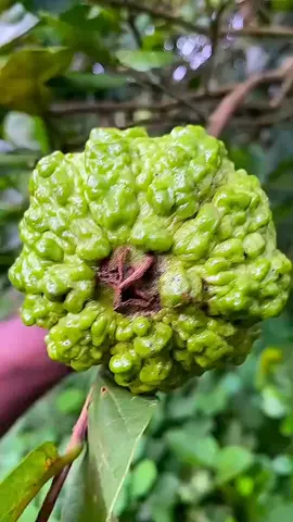 #👑shakil_vai_20👑 