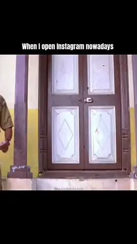 Husky dog❌Husky dance✅😂😂😂