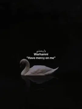 Ya Rabb…#islam #Allah #fyp 