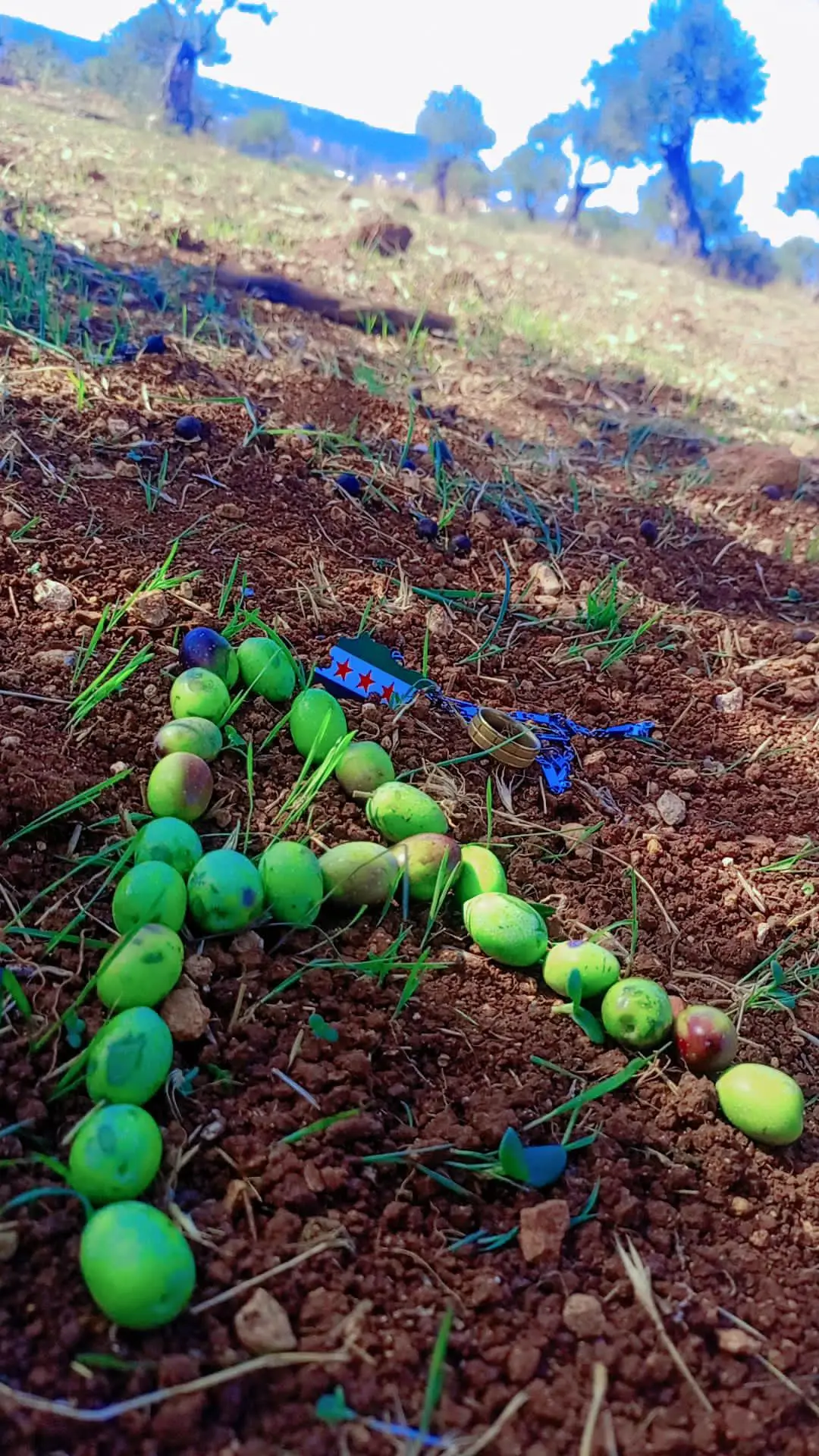 #🦋اليوم مين كان معي بل شغل#😀😀🍃##