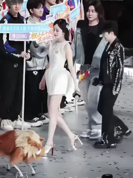 Chân với lưng ả còn thẳng hơn giới tính của t nữa 🥹 #duongmich #duongmich #yangmi 