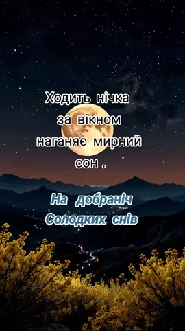 #доброїночі🌌🌌🌌✨🌛  #на_добраніч_мирних_снів❤️❤️❤️ 