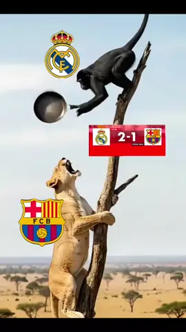 Félicitations pour Réal Madrid 👍 Le Barca ne mérite rien ce soir : Une Absence de volonté scandaleuse dans un Classico 😡❌ #halamadrid #fcbarcelona #clasico #laliga #tiktoksenegal🇸🇳 