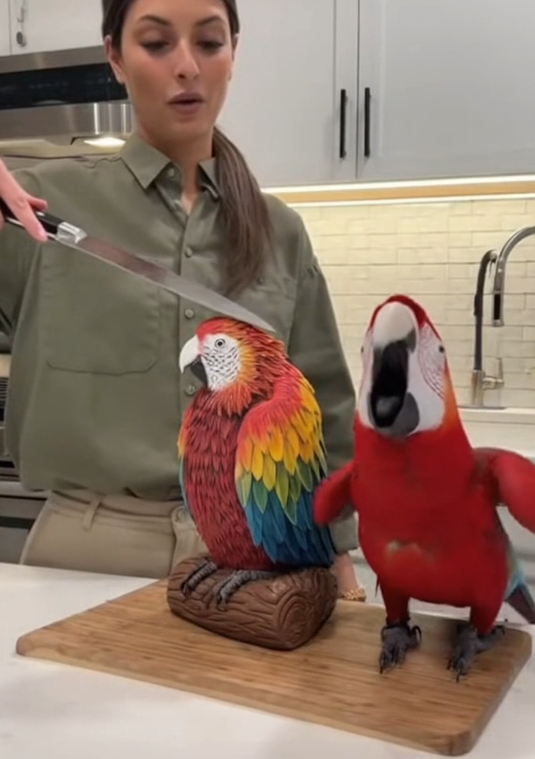 Parit Reaction🥶#PetReaction #CakePrank #Funnyparits #praitsPrank 