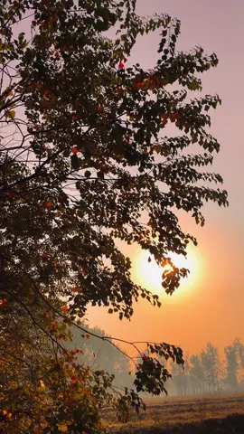 TuraB Saib🥺💔🔏🍂❤️‍🔥 #500k #foryou #contentcreater #turabsaib #pashtopoetry 