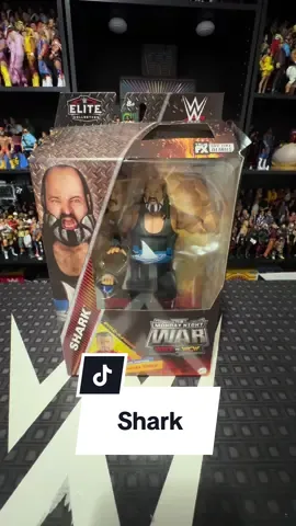 #tiktokpartner #WWE #wweraw #wwefan #contentcreator 