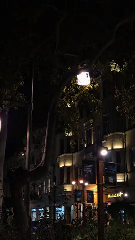 Ən çox da susanda ağrıyırsan, çünki demədiyin hər söz ürəyində daş kimi böyüyür... Danışmaq istədiklərin boğazında düyünlənir, amma deyə bilmirsən çünki bilirsən, artıq fərqi yoxdu. Sözlər sanki içində qışqırır, amma səssiz qalmaq daha az acı verir deyə seçirsən səssizliyi. Elə anlar olur ki, kimsə “necə­sən?” deyir, sən də gülümsəyib “yaxşıyam” deyirsən, halbuki içində fırtına qopur. Sən susursan, amma sükutun çox şeyi deyir. O sükutda yorğunluq da var, qırılmış ümidlər də... Və bir gün anlayırsan ki, bəzən susmaq qorxudan deyil, çarəsizlikdən olur. Çünki nə desən də, heç nə dəyişməyəcək tək dəyişən sənsən və o da səssiz-səssiz içində... #mrdbshv 