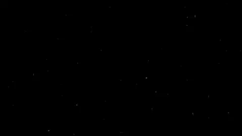 ی‍َ‍ـٰۤأَیُّهَا ٱلَّذِینَ ءَامَنُوا۟... 🤍🌷 #سلمان_العتيبي #سورة_الأحزاب #قرآن #راحه_نفسيه 