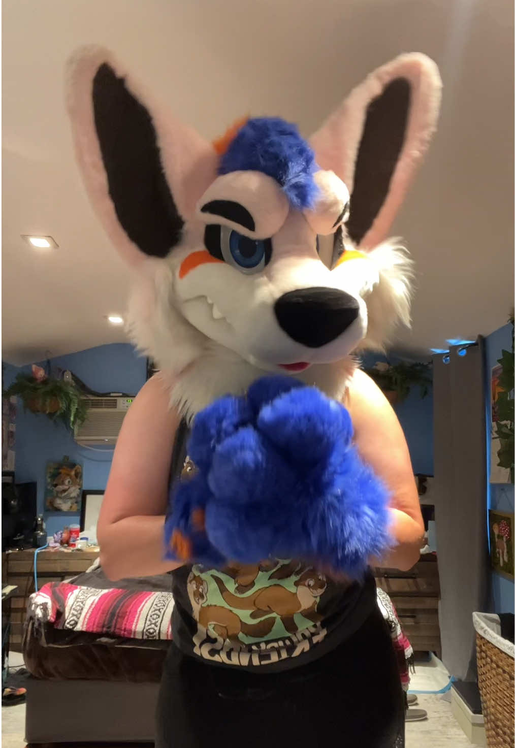 I wanna go swimmies! Pls! 🥺Have a good day and don’t let anybody put you down! I also have a Instagram and Twitter! Insta: @thefinnmyster & Twitter: @Finn770123, CON LINE UP! FOR 2026! FC26, LVFC26 , Megaplex26, BLFC26, AnthroSoCal26! #fursuit #furryfandom #fyp #furryfyp #foryoupage 