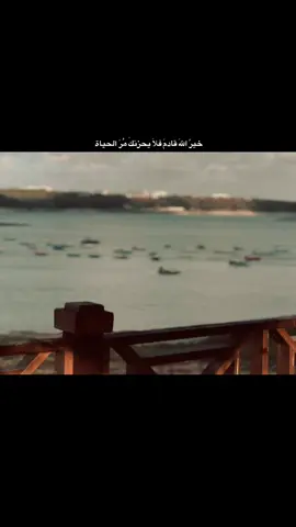 #الحياني 