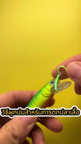 เคล็ดลับการตกปลา#fishing #ล่องแพ #fishing #fyp #tackle 