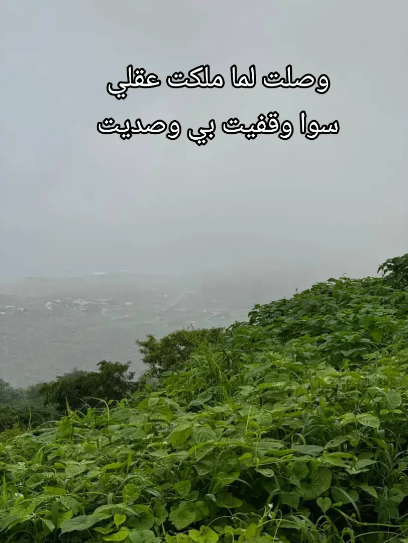 # الفنان خالد صرخه # قصيعر # الريده # ( معبر ) 